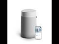 Best Air Purifier for Medium Rooms