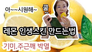 기미.주근깨 박멸/집에서 하얗게 마든 레몬스킨 쿨~스킨 아~시원해