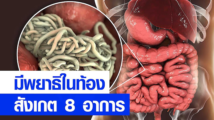 สังเกต 8 อาการ มีพยาธิในท้อง สาระดีๆ จากแพทย์จีน HUOXIANG เอินเวย์