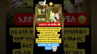 #habesha #news #newnews #viralshort
