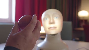 Advanced Adaptive Intelligent Systems (AAIS)