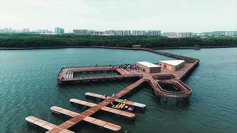 🌆 Barranquilla es única: ciudad, naturaleza y progreso A Otro Nivel