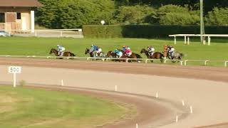 Vidéo de la course PMU GRAND PRIX D'AVENCHES
