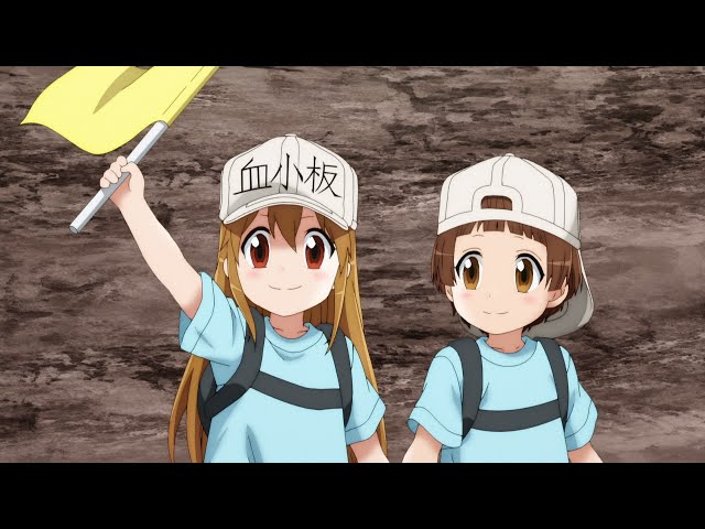 Cells at Work! Season 2 - Official Trailer], By Hataraku Saibou Family