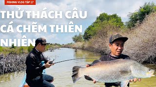 Hành Trình Thử Thách Câu Cá Chẽm Hàng 2x Thiên Nhiên Cà Mau Tập 17 | Chí Toàn Fishing