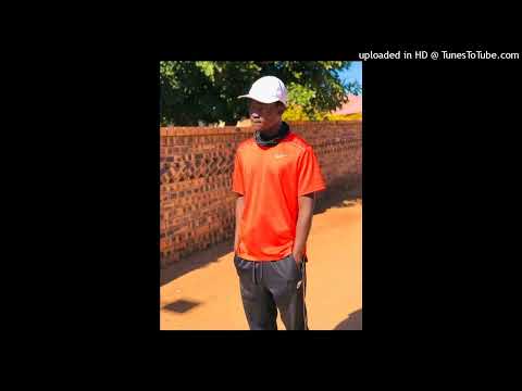Tribby WaDi BhoZza & Shebeshxt - Are Zole (official audio)