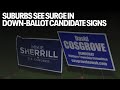 Suburbs see surge in down-ballot candidate signs