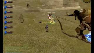 sro_client 2010-03-19 11-16-45-57.mp4