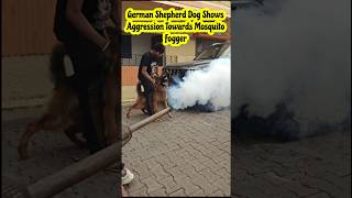 GERMAN SHEPHERD Dog Shows AGGRESSION Towards The Mosquito Fogger | ANGRY DOG BARKING SOUND #shorts