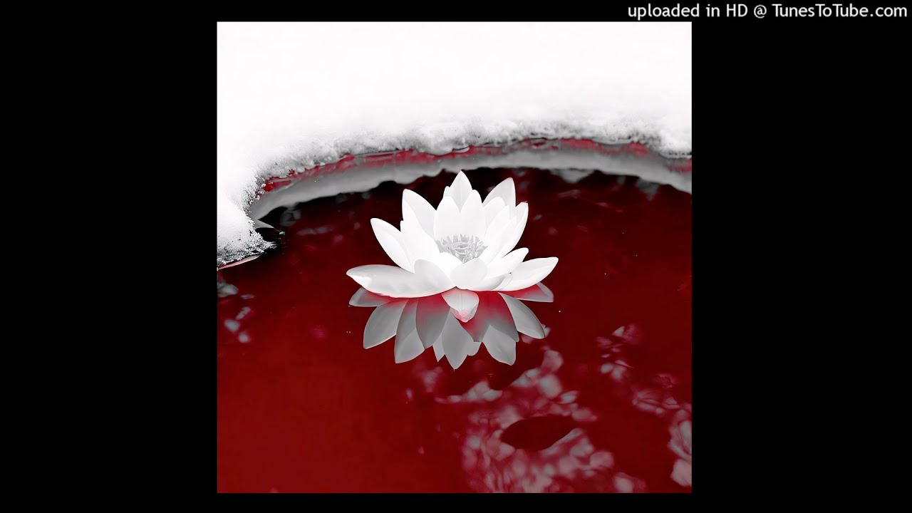 [free for profit] ambient + experimental type beat "prove"