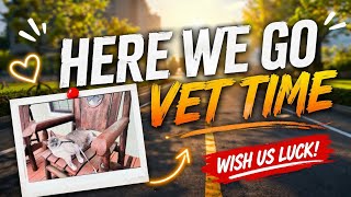 Veterinarian Visit Daily Vlog South Texas Living