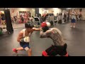 LIL CRACRA VS MIGHTY MOUSE (boxing fight)
