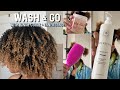 Cleaner Beauty for Kinky/Curly Hair! | My New Fave Wash and Go Combo! Ft. Kinky Curly x Innersense