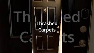 Hopeless carpets restored new! #carpetcleaning #carpetcleaner #cleaning #influencer #asmrcleaning