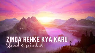 Zinda Rehke Kya Karu [Dil Bechara] - LOFI [ SLOWED & REVERBED ]