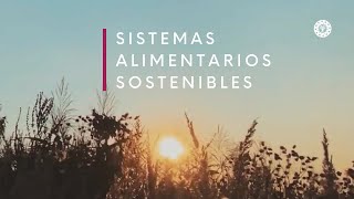 Sistemas alimentarios sostenibles para la protección del medioambiente