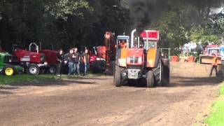 Waldbroezer tijdens Flaeijel