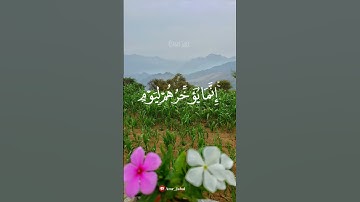 ﴿ولاتحسبن الله غافلا﴾#سورة إبراهيم [ارح سمعك وقلبك قرآن كريم🤍🍃]#القارئ_فارس_عباد #اكسبلور