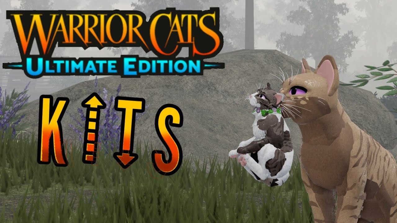 Twin Cat Warrior 1: jogo de Fogo e Água com gatos