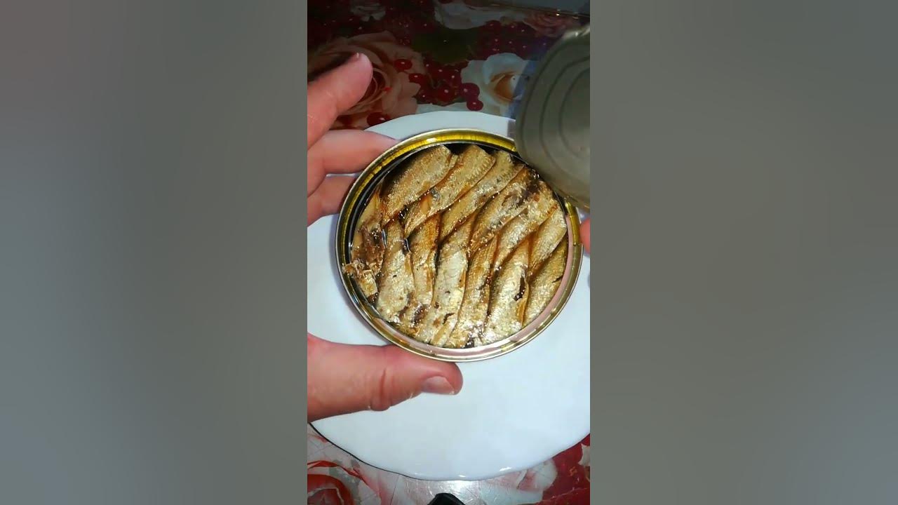 Открываю шпроты БАРС (часть 2) - YouTube