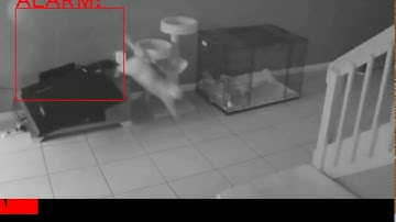 Motion Detection for CCTV Cameras: Intelligent Video Analytics Module