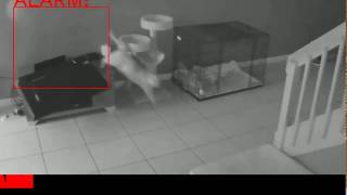 Motion Detection for CCTV Cameras: Intelligent Video Analytics Module
