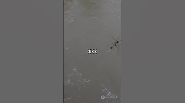 Natural Disasters of 2024