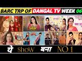 Dangal TV Barc Trp of Week 06 (2026) : Sajan Ghar, Pati Brahmachari, Ishq Junooni