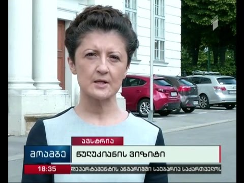 წულუკიანის შეხვედრა ავსტრიის იუსტიციის ფედერალურ მინისტრთან