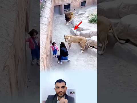 لن تجد تضحيه مثل تظحيه الأم وحنان قلبها ابدآ حيونات