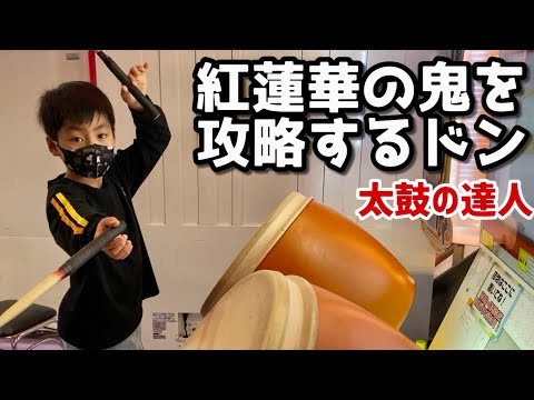 紅蓮華の鬼を攻略するドン【太鼓の達人,小学生,ドンだー,初心者,キッズ,子供】