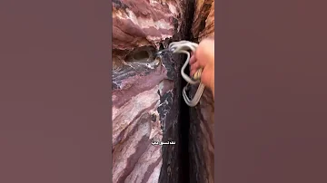 كيفية تسلق الجبال بسهولة 