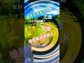 500. 誰是春風得意人(尤雅)經典歌曲 #安格尔怀念歌曲 (@anchorhoong)
