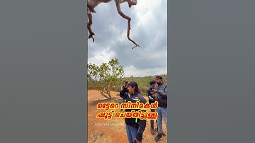 🌿മൂന്നാർ പോയി മടുത്തോ ?⚠️ അധികമാരും പോകാത്ത 14 HIDDEN സ്പോട്ടുകൾ🏞️💚 Idukki Trip