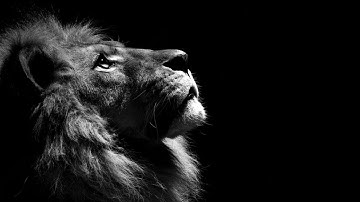 Enhancily vs Ziua(Worst 1v1er NA) | Mw3