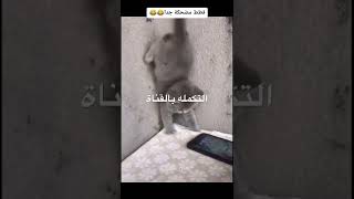 اضحك من قلبك