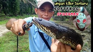 casting gabus wajib coba‼️umpan killer terbaru softfrog Spiderman//#Dtxlure