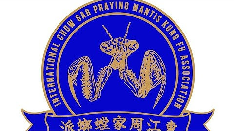 Chow Gar Southern Praying Mantis Kung Fu | Eagle Claw | Eagle Seizes 