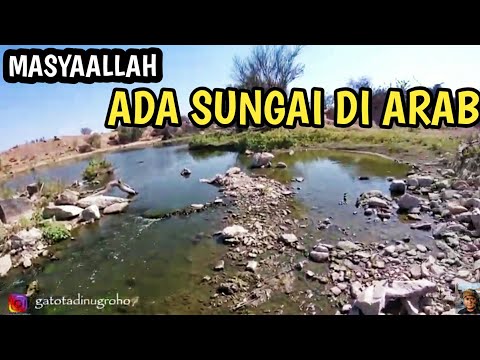 Video: Sungai Di Padang Rumput