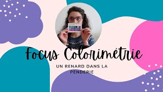 Focus colorimétrie - Un renard dans la penderie couture tricot colorimétrie