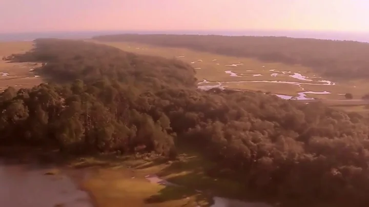 Amelia Island:  Mother Nature's Favorite Child