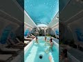 Das schönste was ich je im Flugzeug gesehen habe #wow #flugzeug #design
