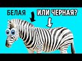 Выходки животных: причудливые факты, о которых вы никогда не знали, но всегда хотели узнать