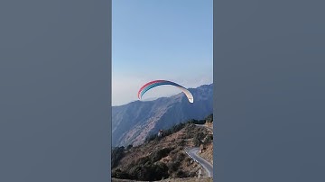 Bir Billing Paragliding in Himachal Pradesh|#birbilling #paragliding #himachal #shorts #ytshorts