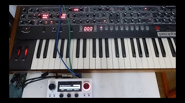 Sequential Prophet 6 & Eventide H90