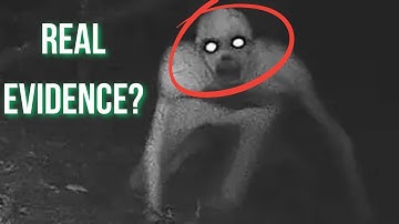 8 Clues Ghosts Don’t Exist (Science Explains Why)