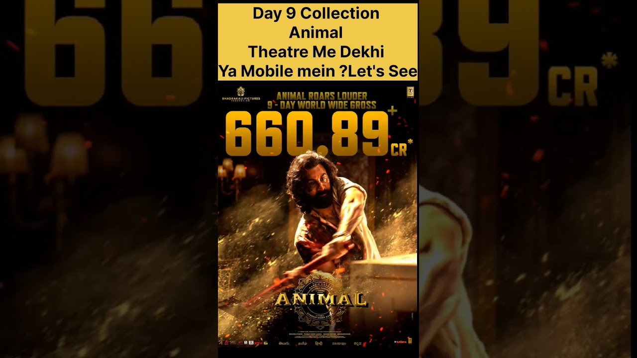 Animal Box office Collection 