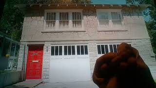 Horacio the handsnake visiting the Bonnie & Clyde Garage Apartment in Joplin, Missouri
