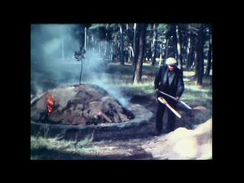 Tjärbränning på Gotland 1980
