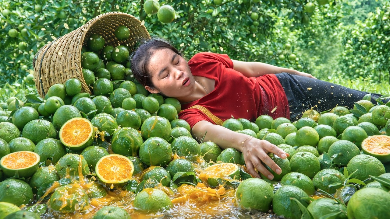 Single mom Harvesting Organic Orange garden to Sell at the Market - Cooking Fish for children